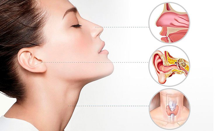 Best ENT specialist in Shalimar Bagh